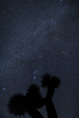 Orion & Milky Way, Joshua Tree