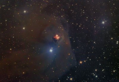 Hind's Variable Nebula (NGC 1555)