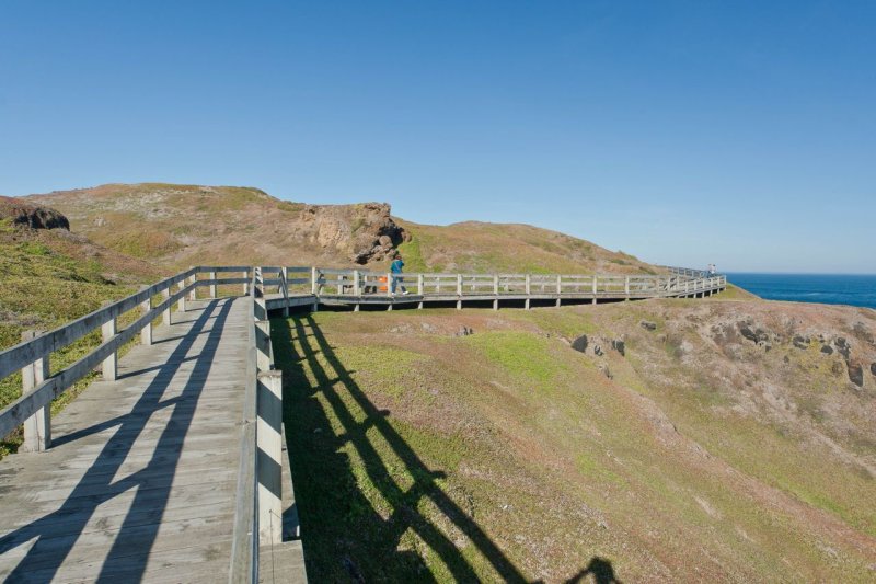 Walkway at the Nobbies Phillip Island.jpg