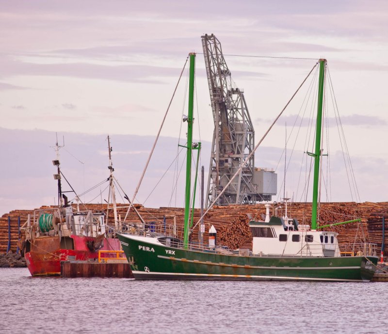 Working boats.jpg