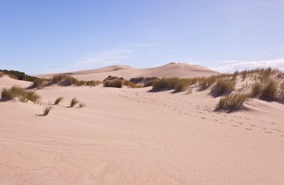 Dunes 23.jpg
