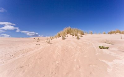 Dunes 25.jpg