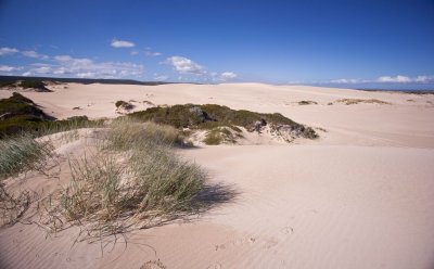 Dunes 27.jpg