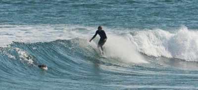 Surfing at Woolamai 97.jpg