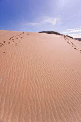Dunes 278.jpg