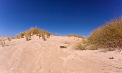 Dunes 31.jpg