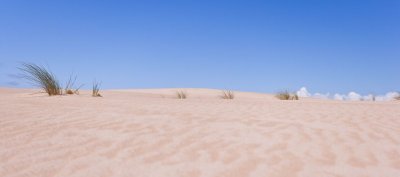 Dunes 30.jpg