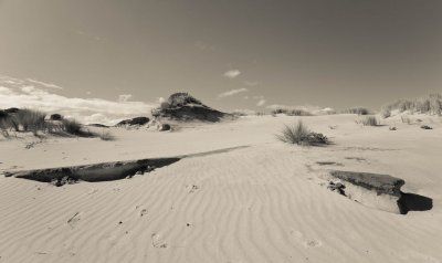Dunes 36.jpg