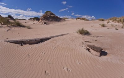 Dunes 39.jpg