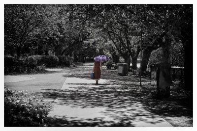 Lady with a Parrasol.jpg