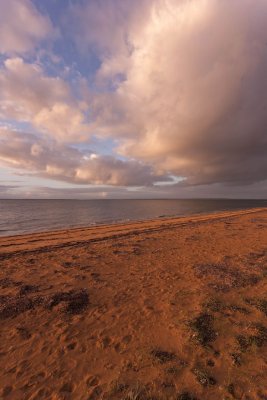 Cowes beach in the evening.jpg