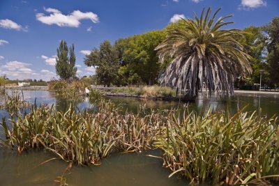 Gardens at Lake Wendouree.jpg