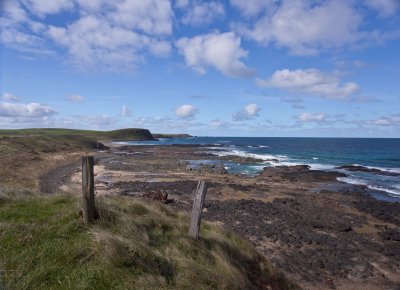 Kitty Miller Bay at low tide 7.jpg
