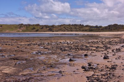 Kitty Miller Bay at low tide 6.jpg