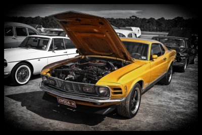 Mustang fastback
