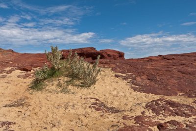 Red Rocks 1.jpg