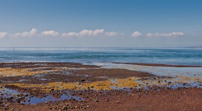 Foreshore at Newhaven 