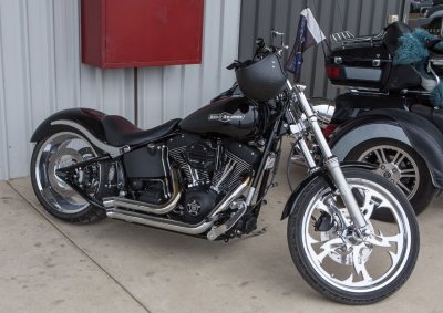 Harley 1.jpg