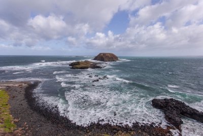 Seal Rocks at Phillip Island 1.jpg