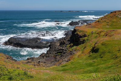 The Nobbies at Phillip Island 1.jpg