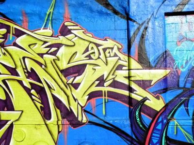 DSCN8501a.jpg