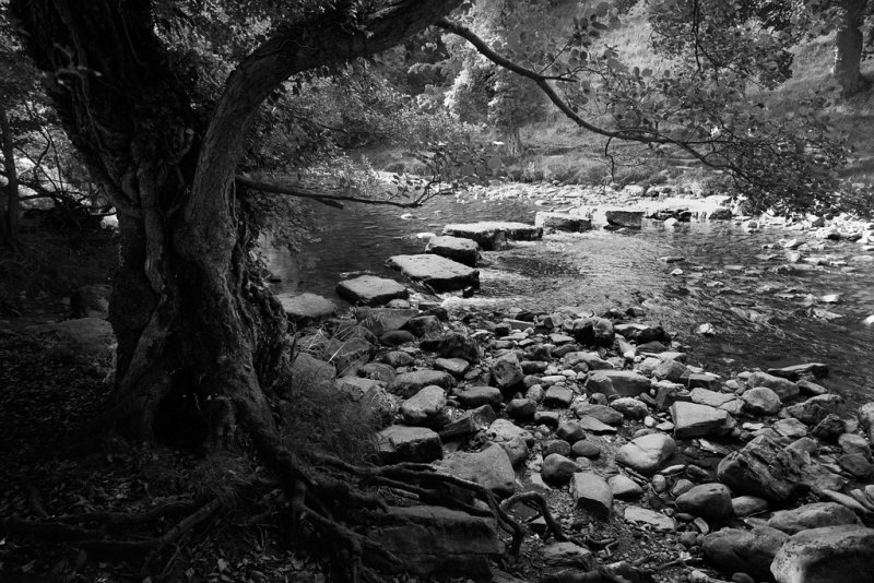 20130811 - The Stepping Stones