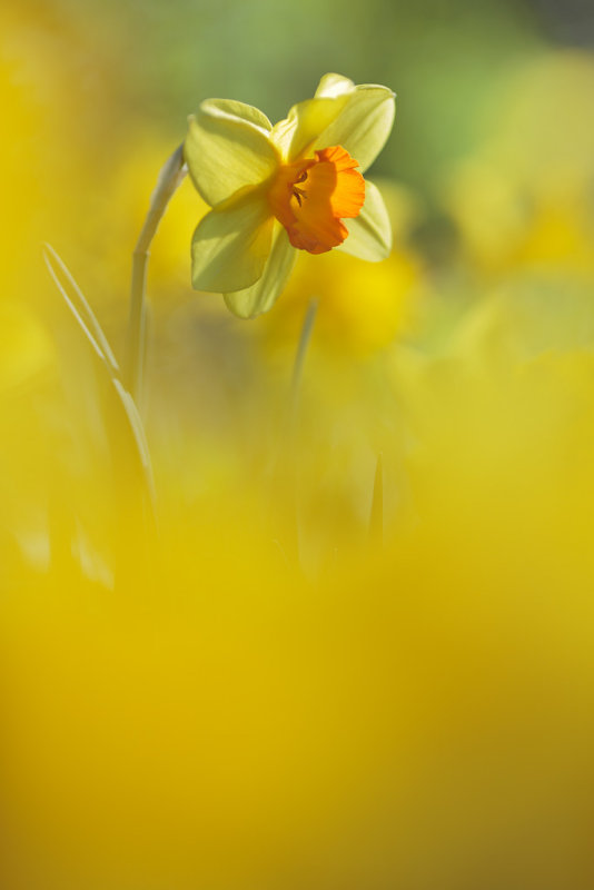 20140408 - Standing Out from the Crowd
