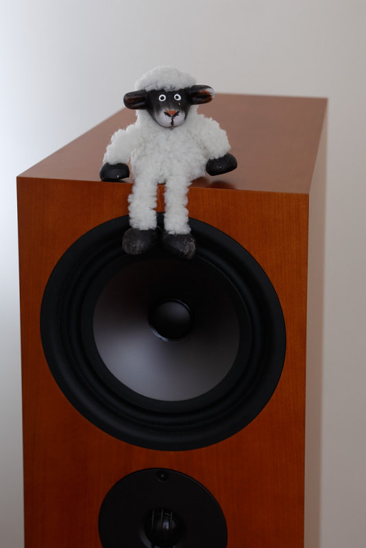 20141020 - Hoof-Tapping