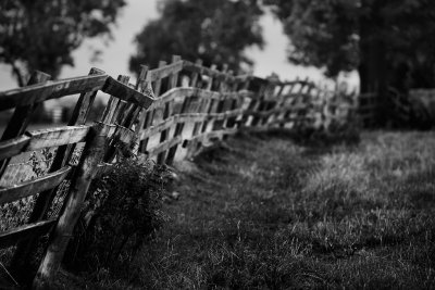 20130817 - Fenced