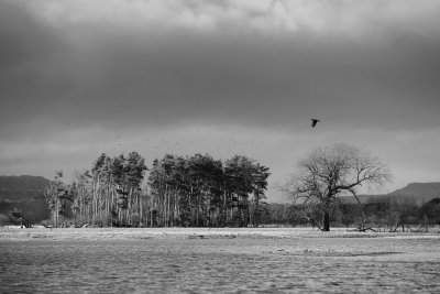 20140201 - Edge of the Weather