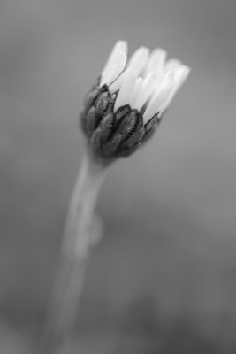 20140217 - Nearly Out