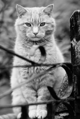 20140527 - Waiting at the Gate