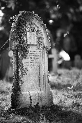 20140710 - Grave Concern