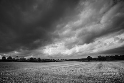 20140815 - Encroaching Black