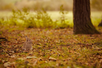 20141026 - Getting On