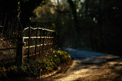 20150209 - Fence