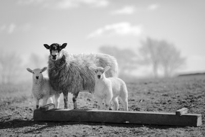 20150327 - Breakfast's Up...