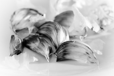 20150508 - Garlic