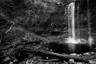 20150606 - Whitfield Gill Force