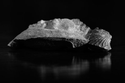 20160210 - Still Dark