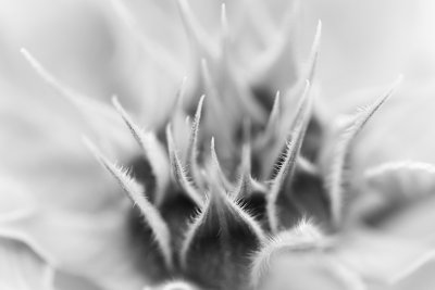 20160812 - Competition