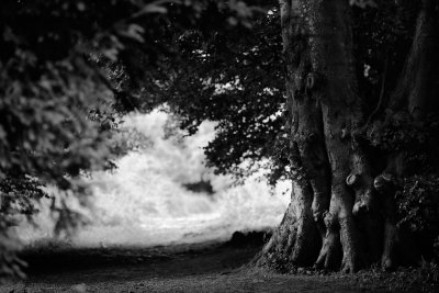 20160813 - The Shawl