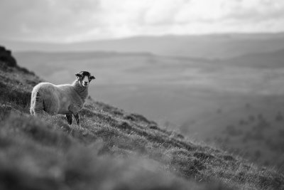 20160930 - The View from Penhill