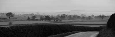 20170118 - Murky