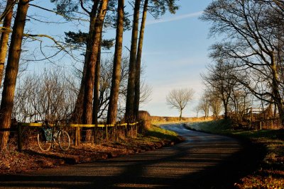 20170206 - Round the Bend