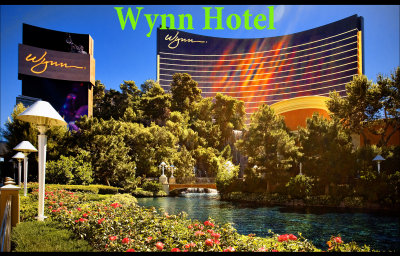 2015 - Las Vegas - Show Le Rve (The Dream) at Wynn Hotel