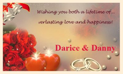 2015 - Darice and Danny's Wedding - Album 3 - Party