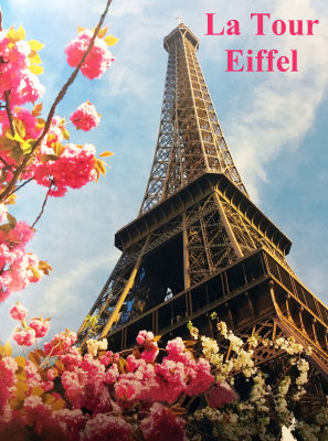 2013 - FRANCE - Paris  - Album 1 - La Tour Eiffel & Les Bateaux Mouches