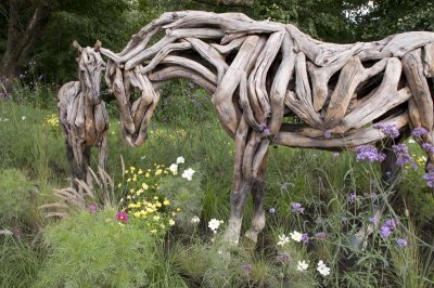 19 – Angleterre – (Heather Jansch) – Espoir et Oddyssée - 2
