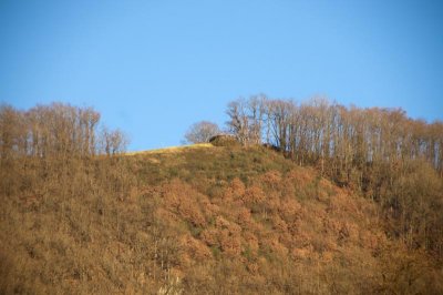 DSC_4320